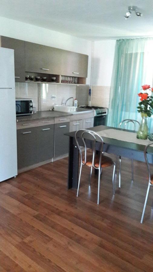 Casa Elena Eselnita Hotel Kültér fotó