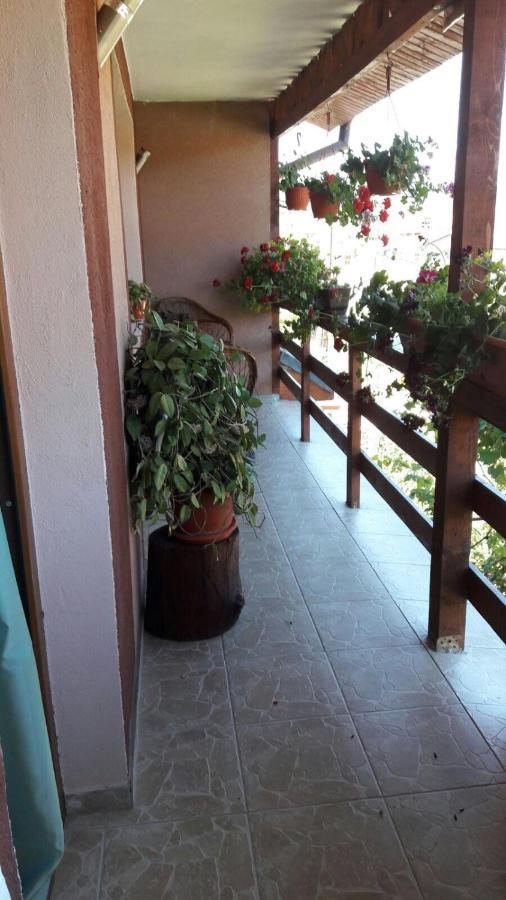 Casa Elena Eselnita Hotel Kültér fotó
