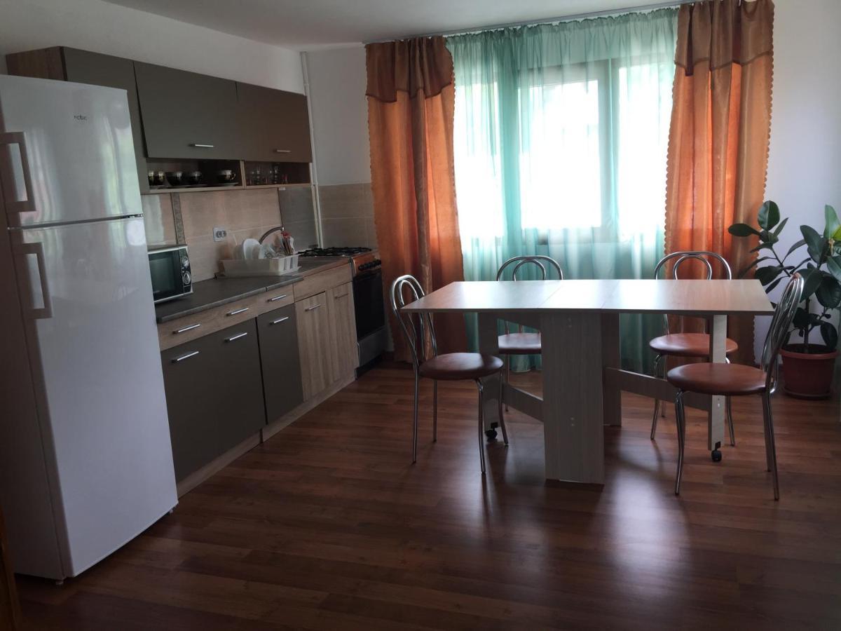 Casa Elena Eselnita Hotel Kültér fotó