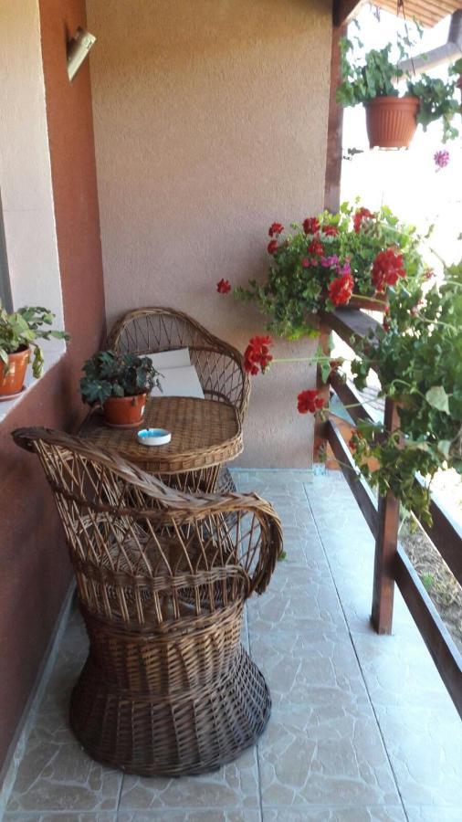 Casa Elena Eselnita Hotel Kültér fotó