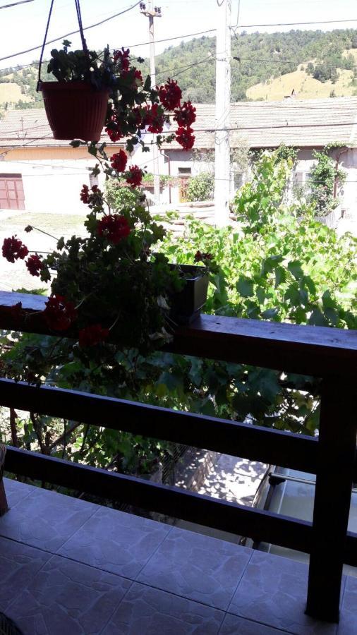 Casa Elena Eselnita Hotel Kültér fotó