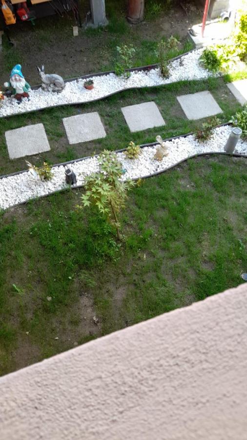 Casa Elena Eselnita Hotel Kültér fotó