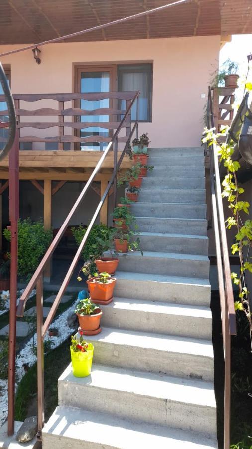 Casa Elena Eselnita Hotel Kültér fotó