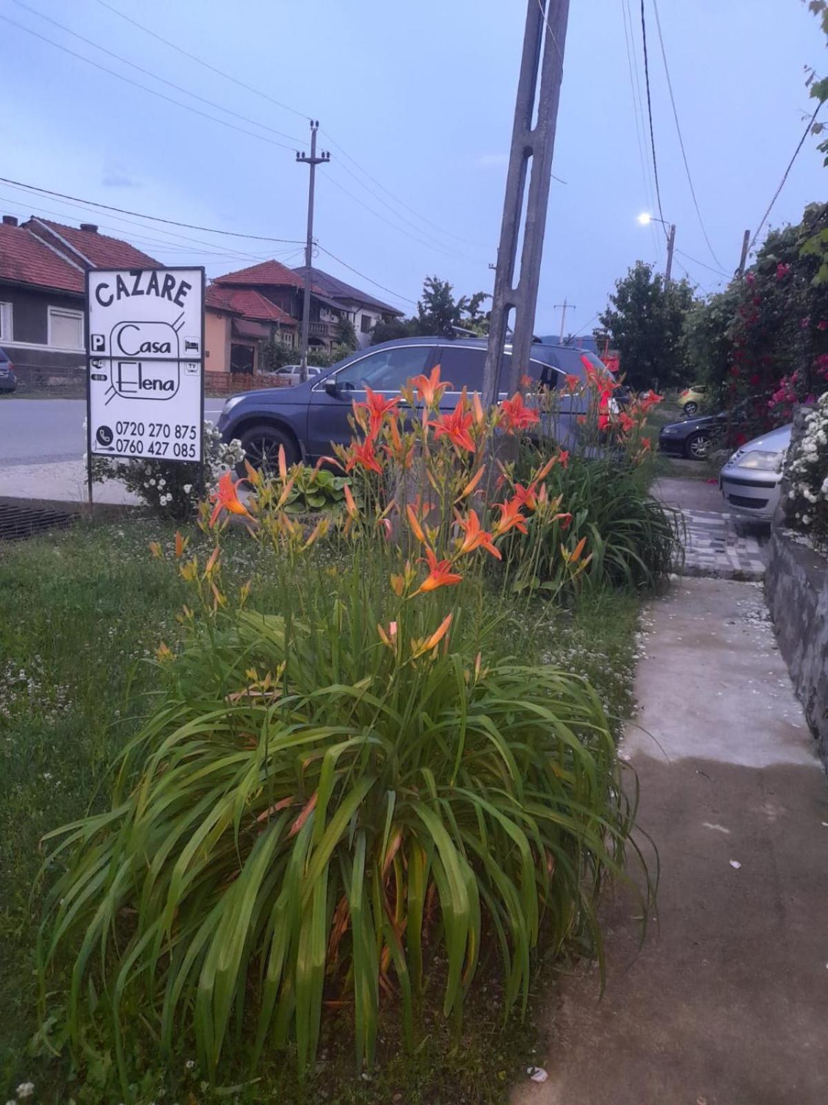 Casa Elena Eselnita Hotel Kültér fotó