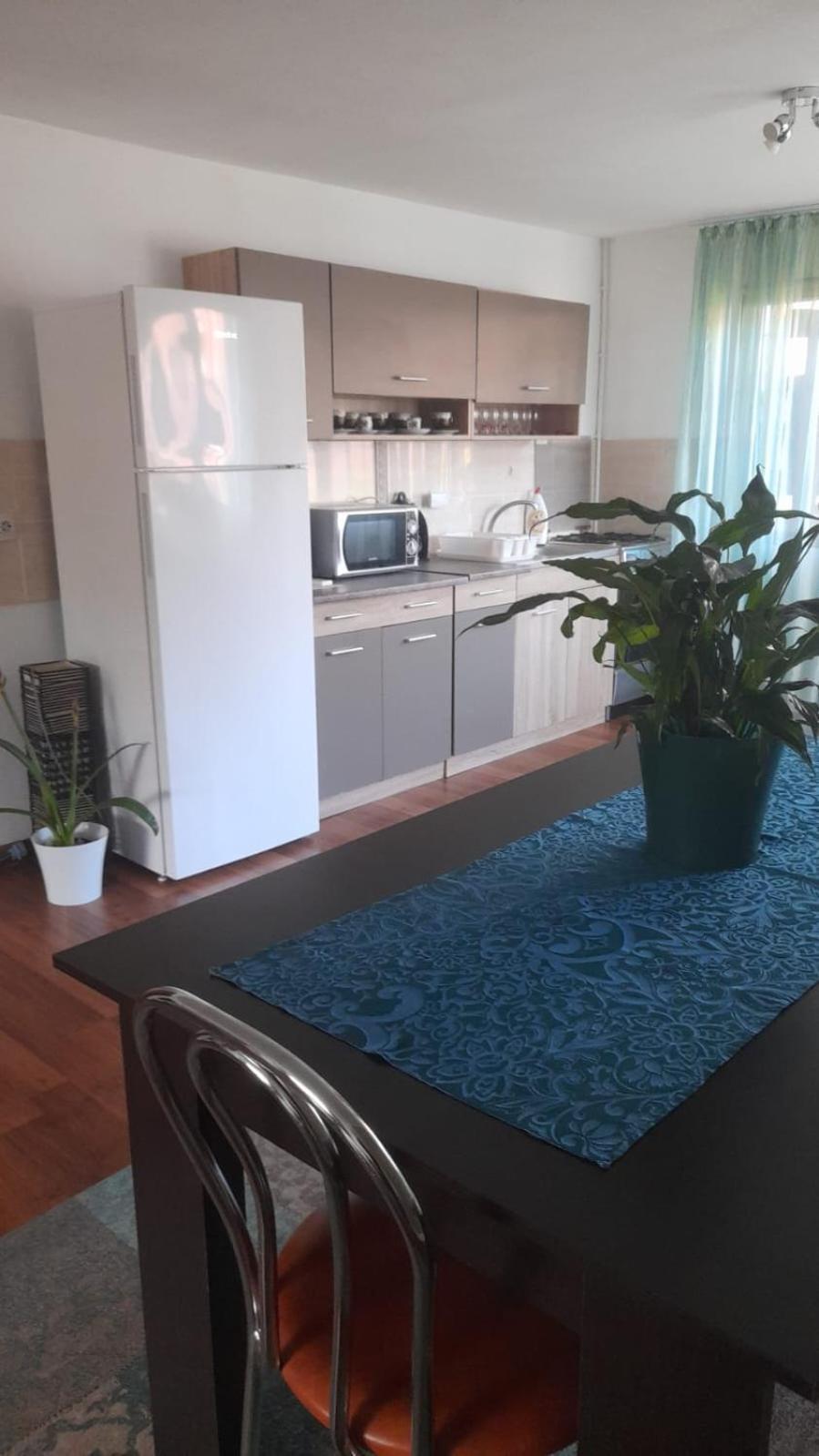 Casa Elena Eselnita Hotel Kültér fotó