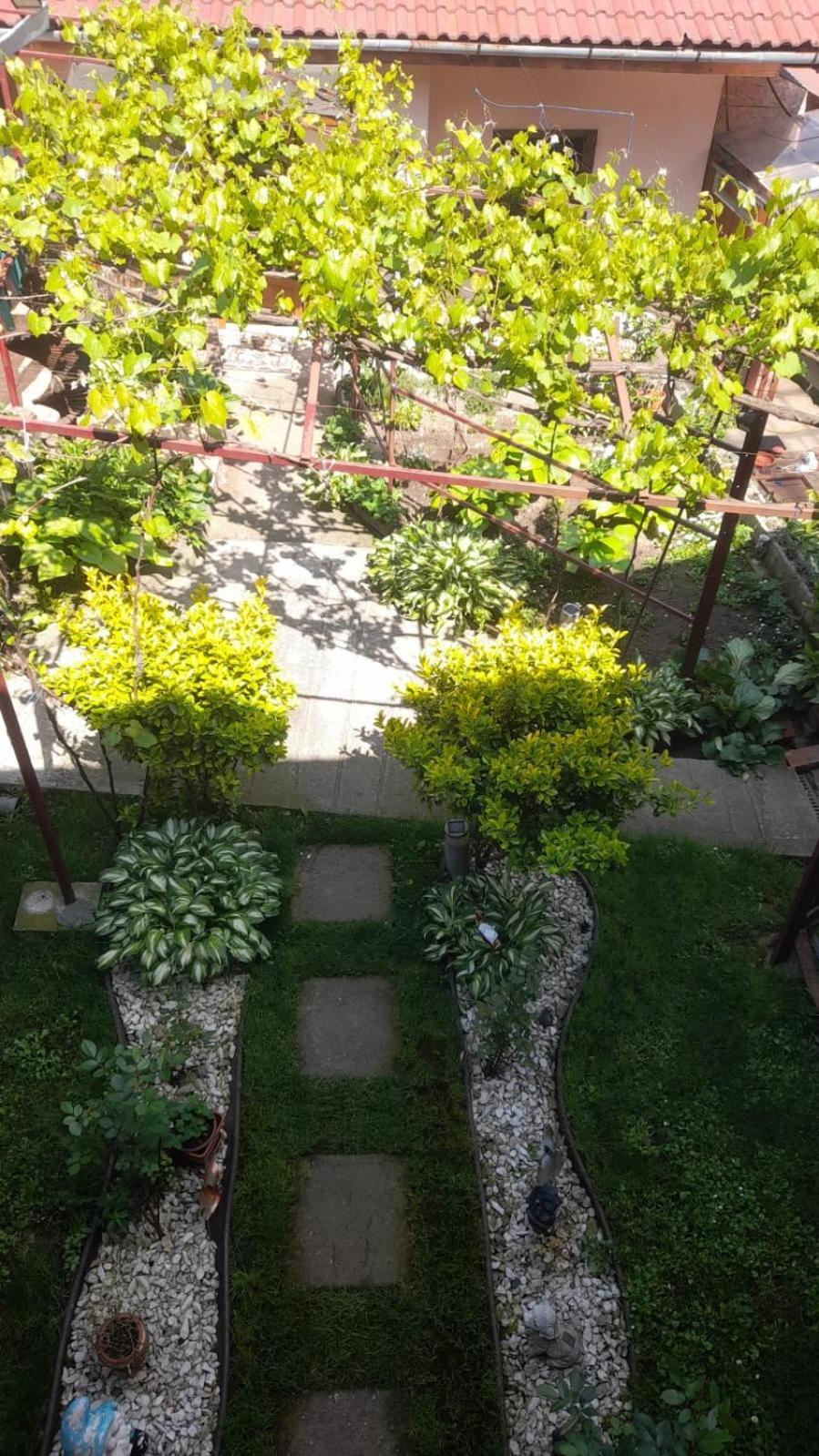 Casa Elena Eselnita Hotel Kültér fotó